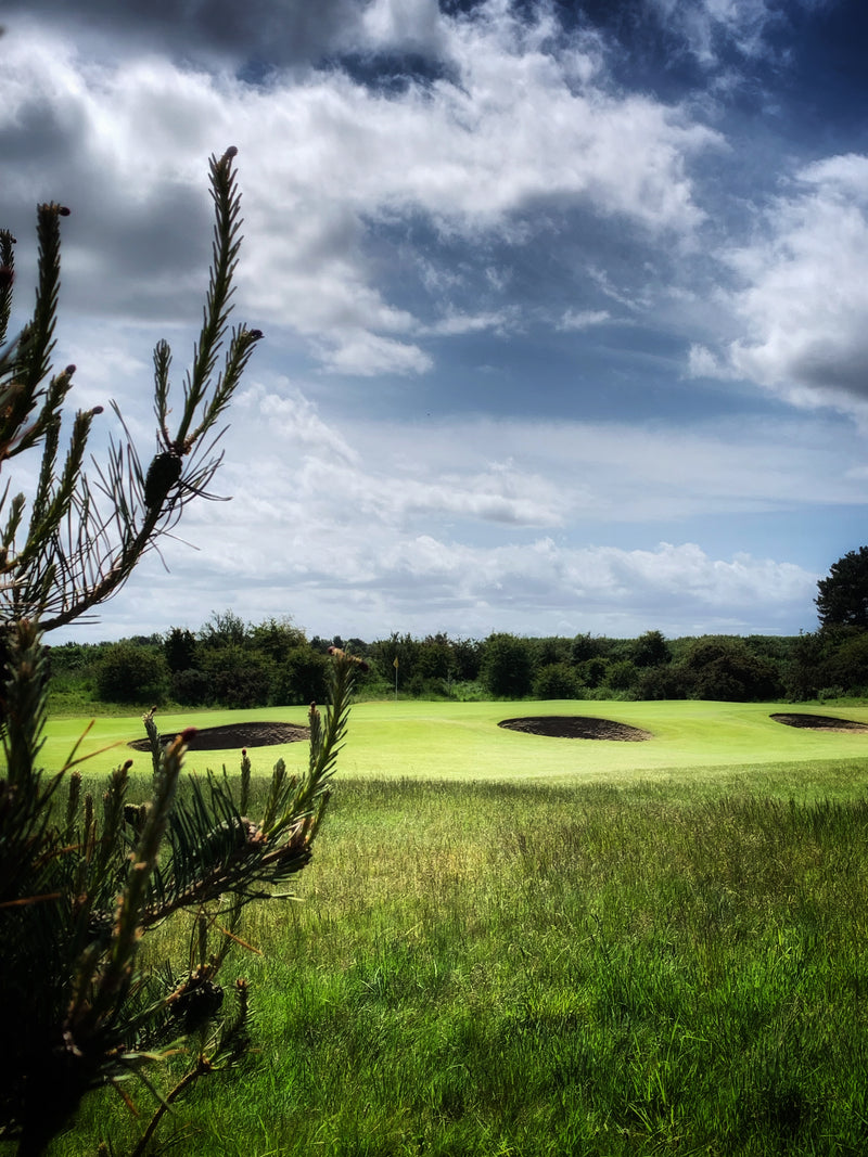 Pro’s Stableford Results - (17/6/20) - Hillside Golf Club